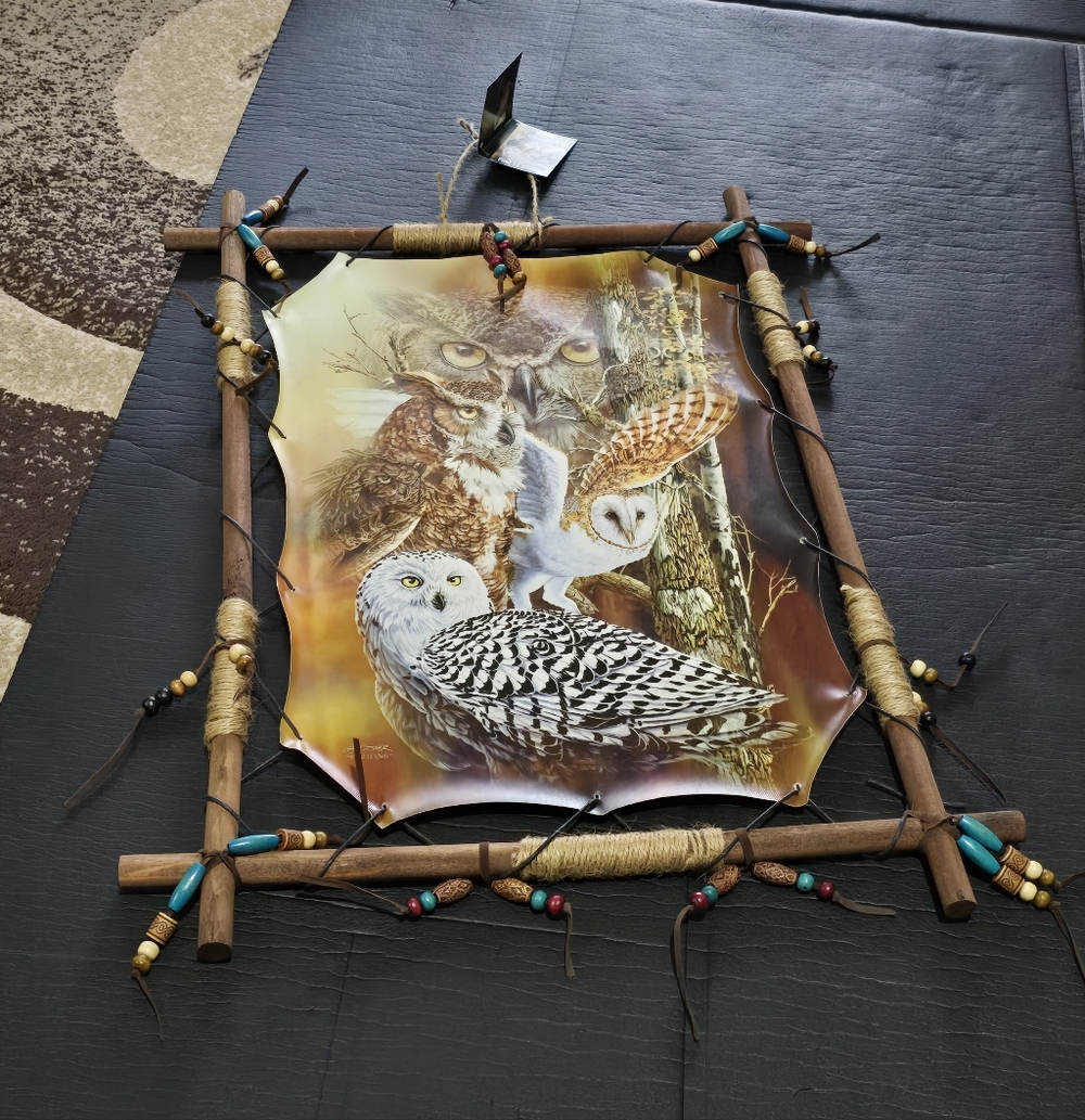 Gardner Dreamcatcher Hidden Images 11 Owls
